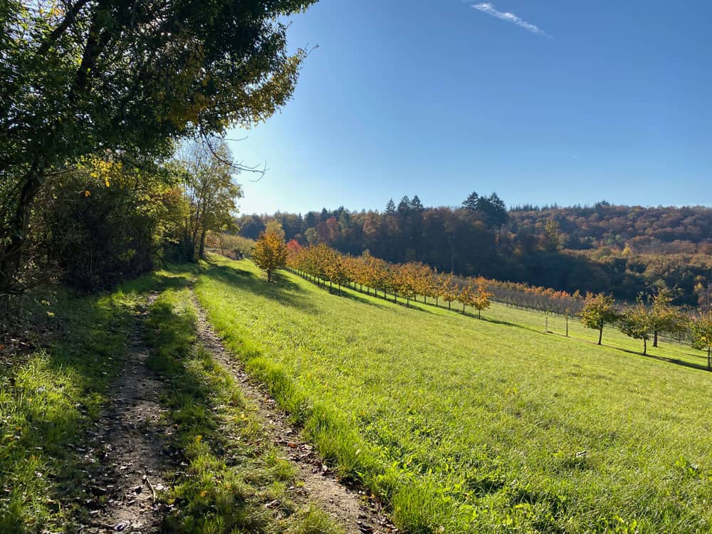Niedereggenen im Südschwarzwald Wanderung - Walk and Wonder