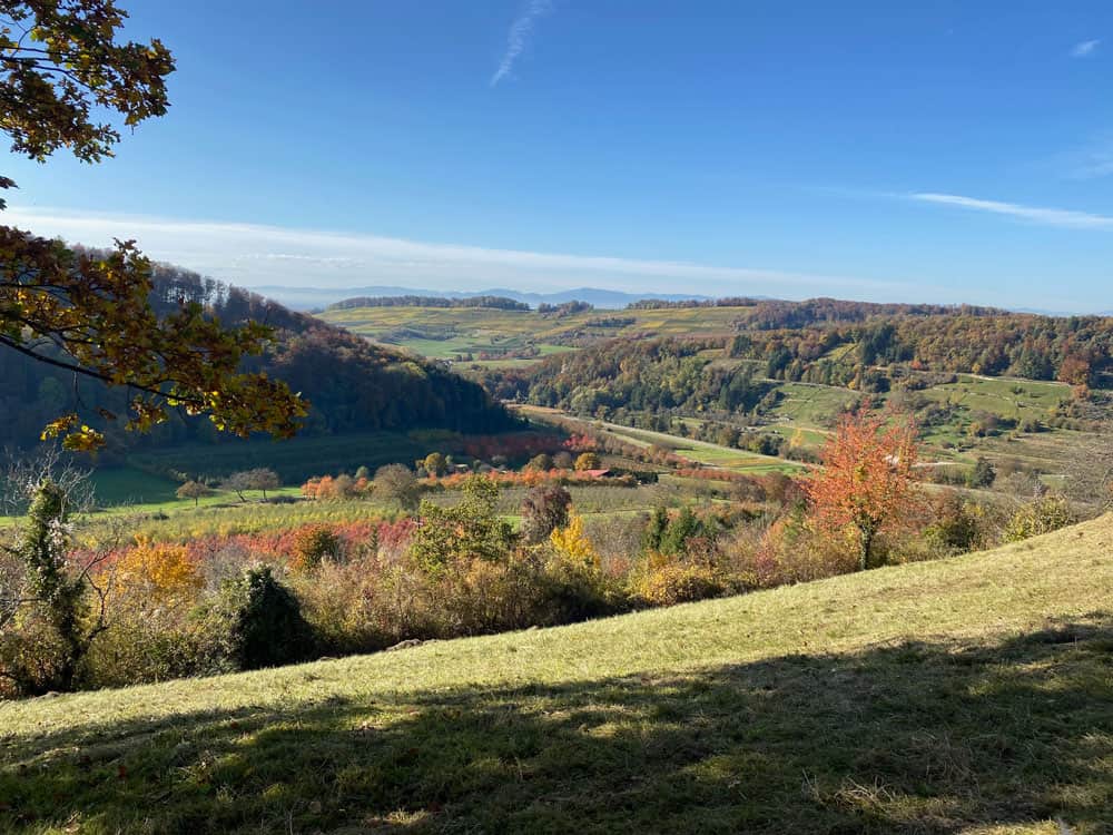 Niedereggenen im Südschwarzwald Wanderung - Walk and Wonder