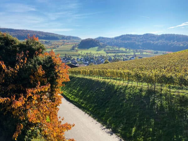Schwarzwald Wanderung - Hagschutz und Obstlehrpfad