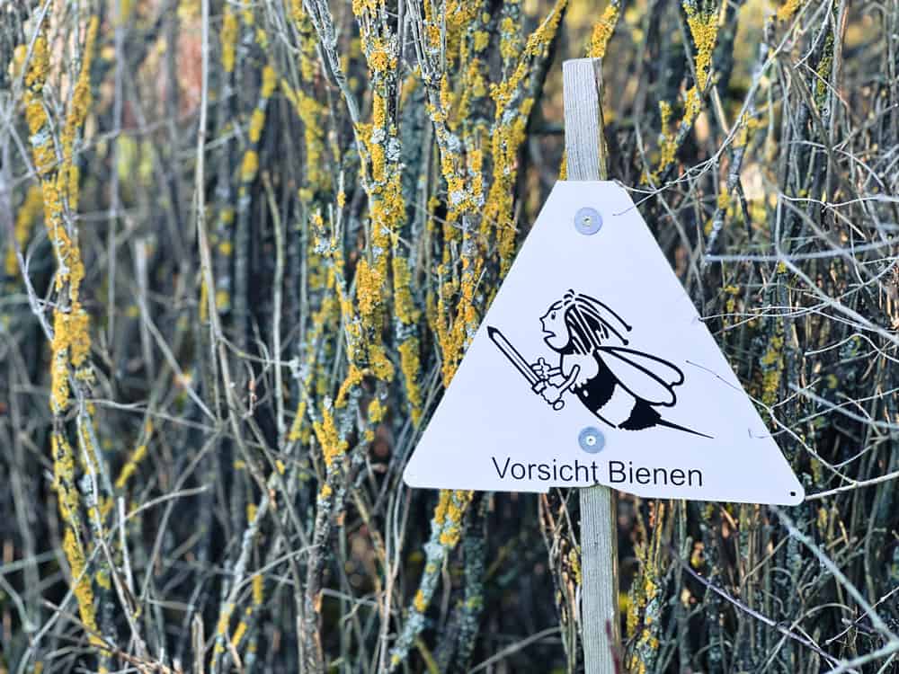 Oberes Baybachtal Wandertipp - Walk and Wonder