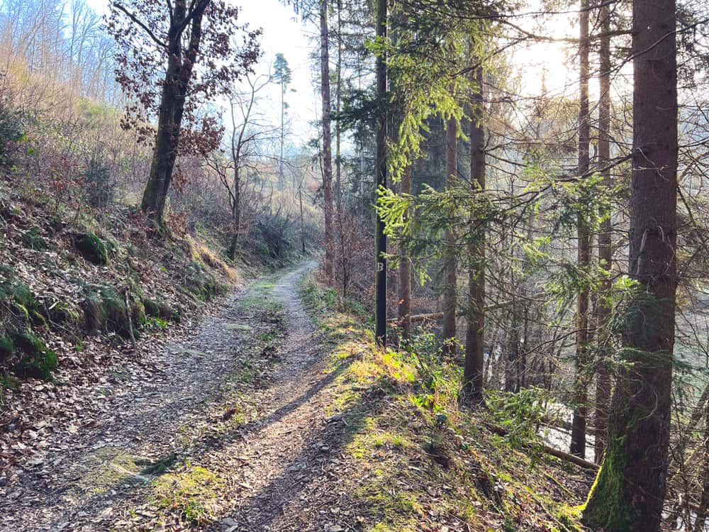 Traumschleife Baybachtal - Walk and Wonder