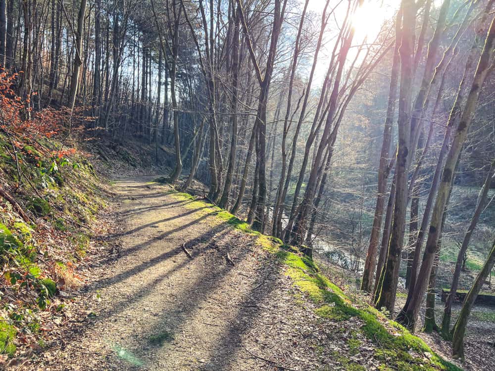 Traumschleife Baybachtal - Walk and Wonder