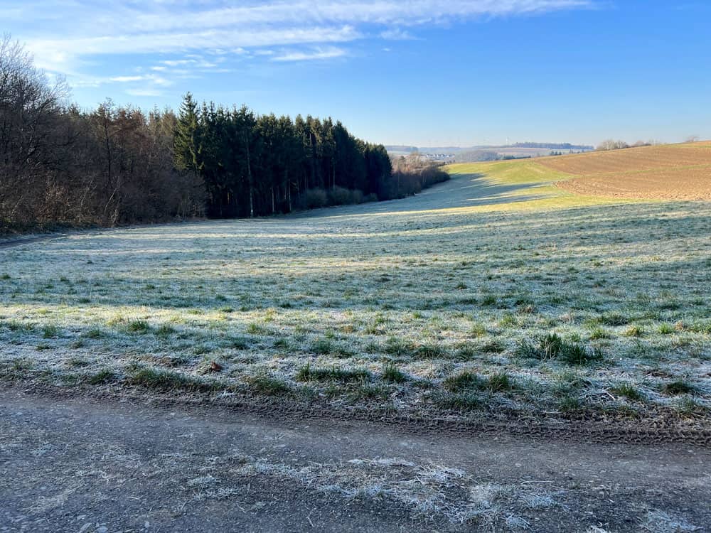 Traumschleife Baybachtal - Walk and Wonder