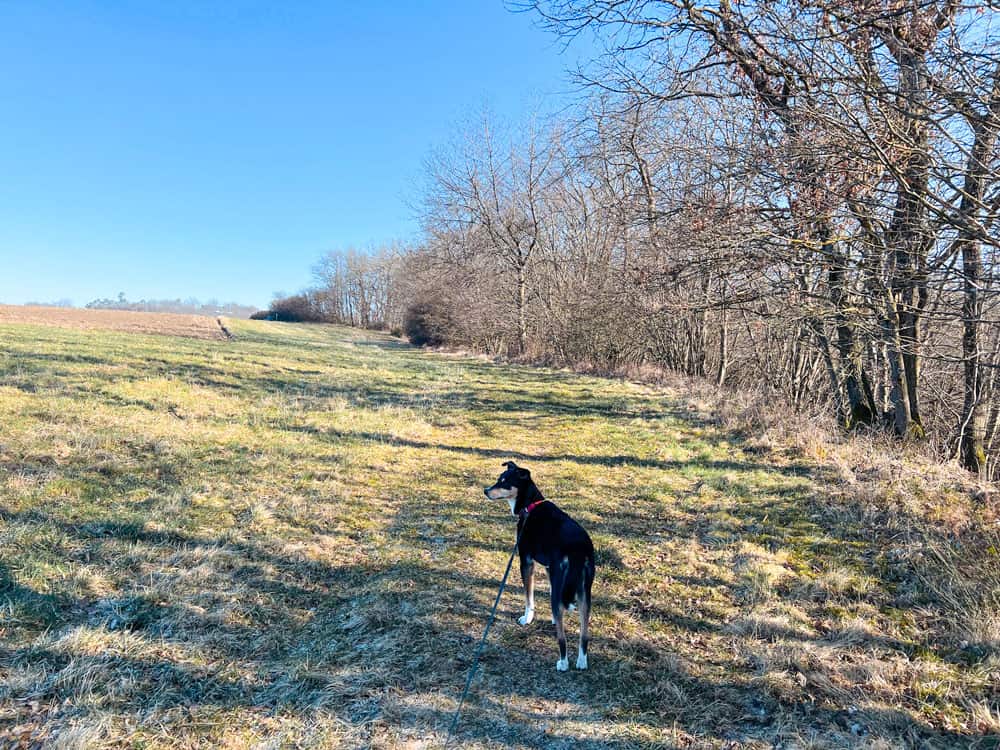 Oberes Baybachtal Wandertipp - Walk and Wonder