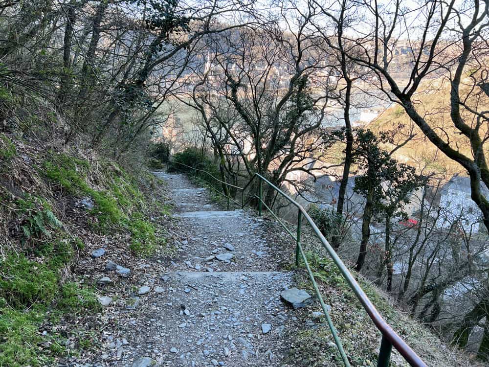 Rheinsteig Wanderung Loreley Burg Katz - Walk and Wonder