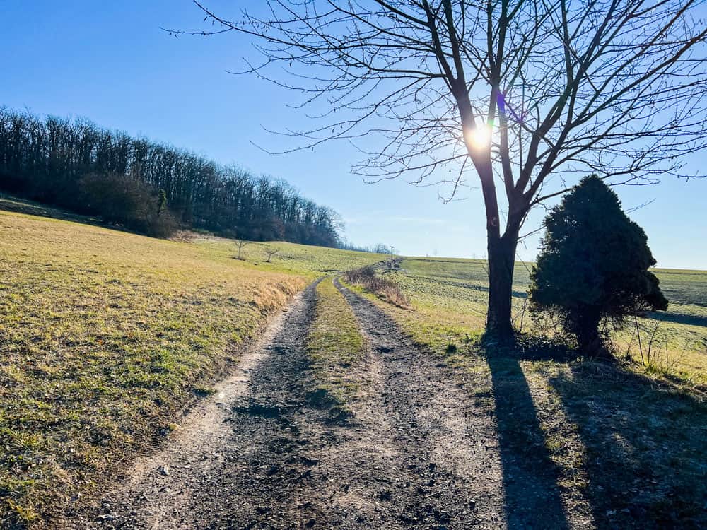 Rheinsteig Wanderung Loreley Burg Katz - Walk and Wonder