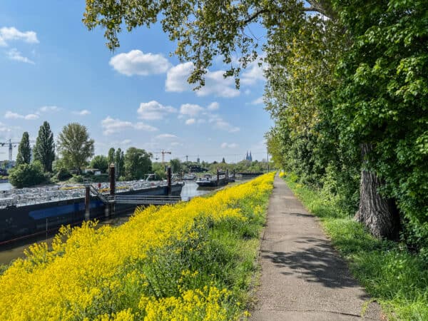 Mülheimer Hafen Spaziergang Katzenbuckel - Walk and Wonder