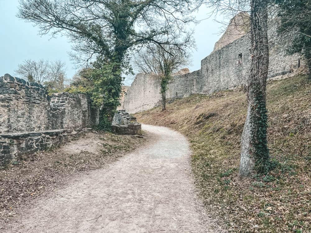 Burgruine Homburg Waldlehrpfad - Walk and Wonder