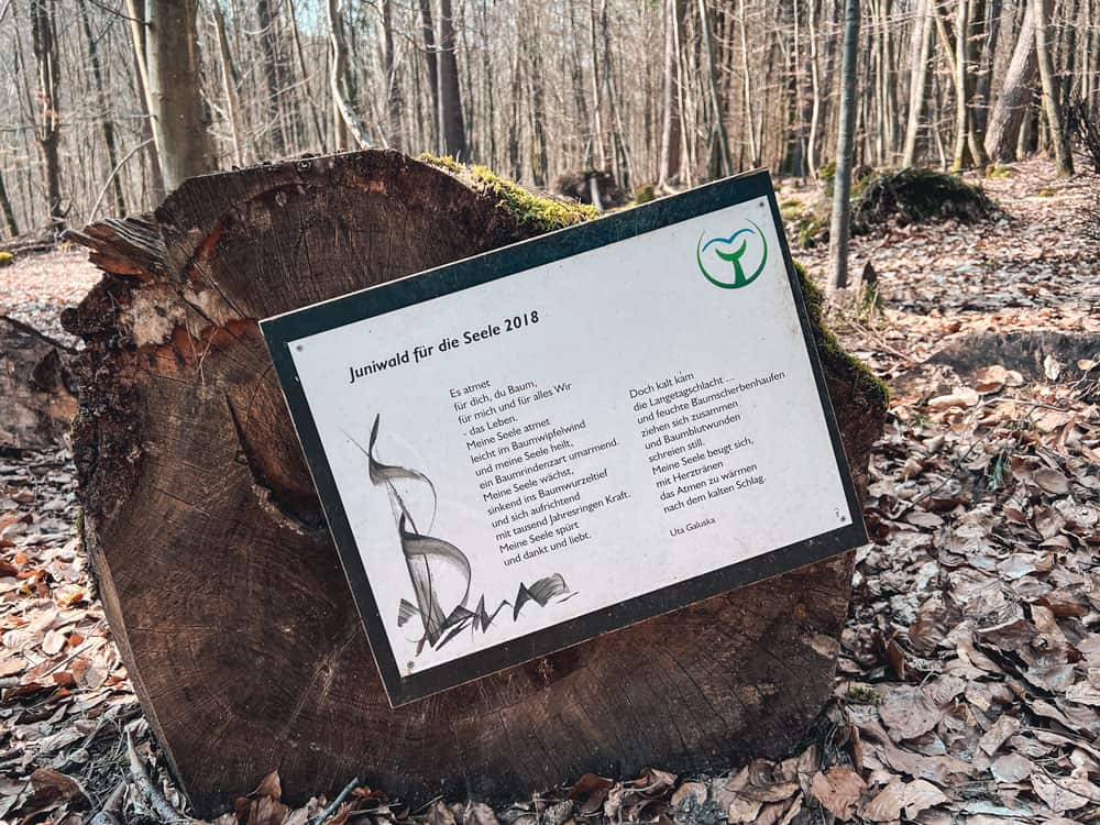 Wald der Seele - Walk and Wonder