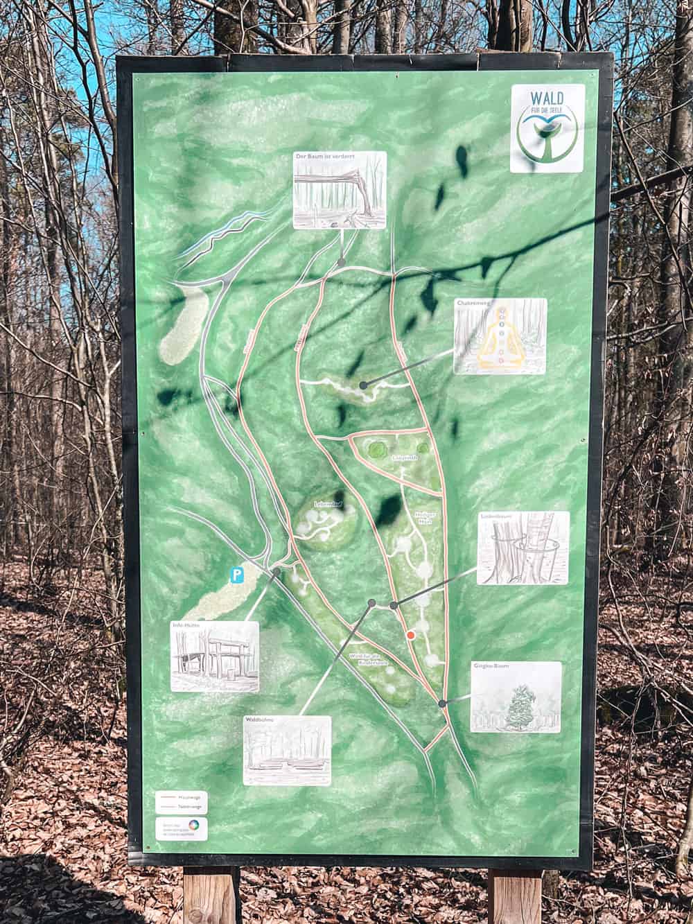 Wald der Seele Bad Kissingen - Walk and Wonder