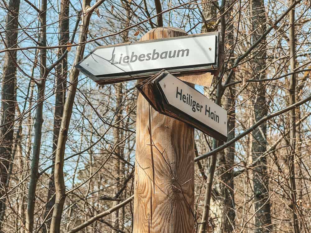 Liebesbaum Wald der Seele in Bad Kissingen - Walk and Wonder