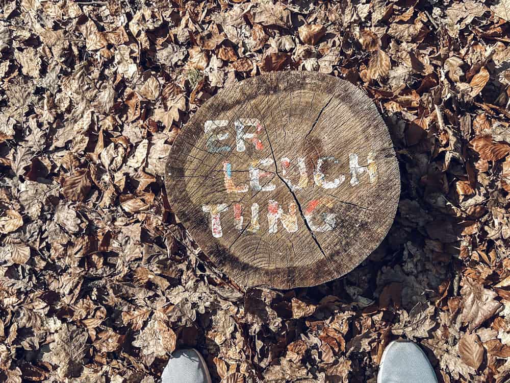 Wald der Seele Bad Kissingen - Walk and Wonder