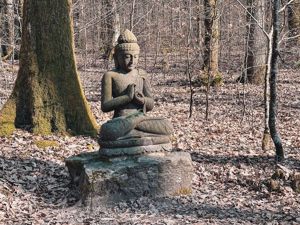 Wald der Seele - Walk and Wonder