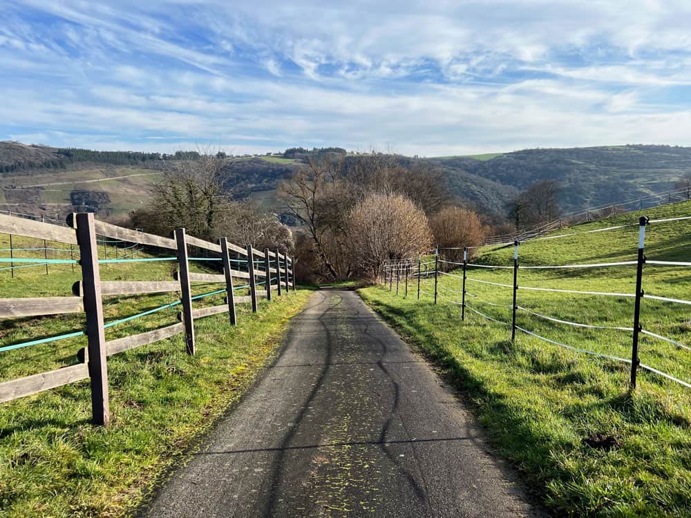 Wanderung in Oberwesel an der Burg - Walk and Wonder