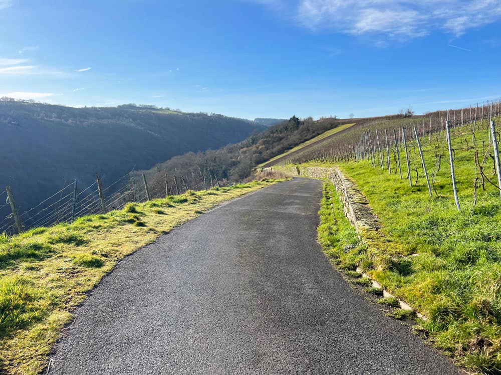 Wanderung in Oberwesel an der Burg - Walk and Wonder