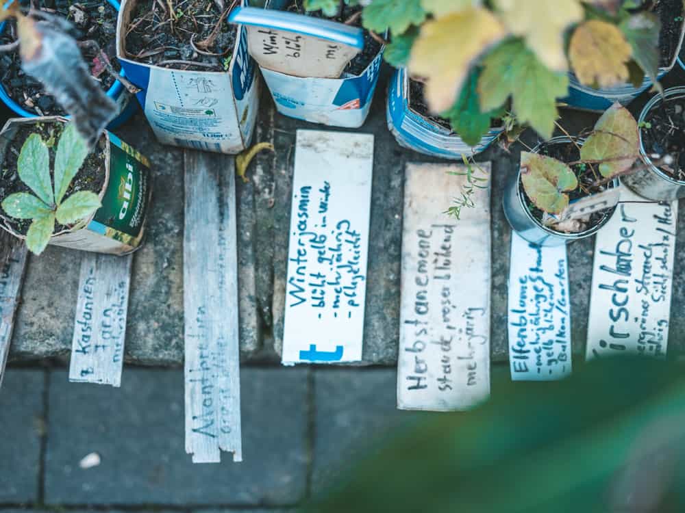 Blumen Trödelmarkt am NaturGut Ophoven Leverkusen - Walk & Wonder