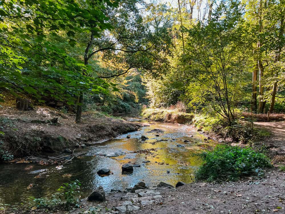 Weg der Sinne im NaturGut Ophoven Leverkusen - Walk & Wonder