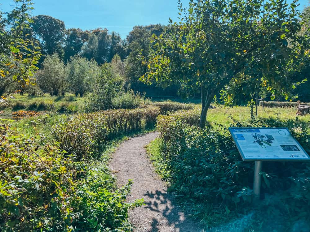 Naturgut Ophoven in Leverkusen - Ausflug und Wandertipp - Walk & Wonder