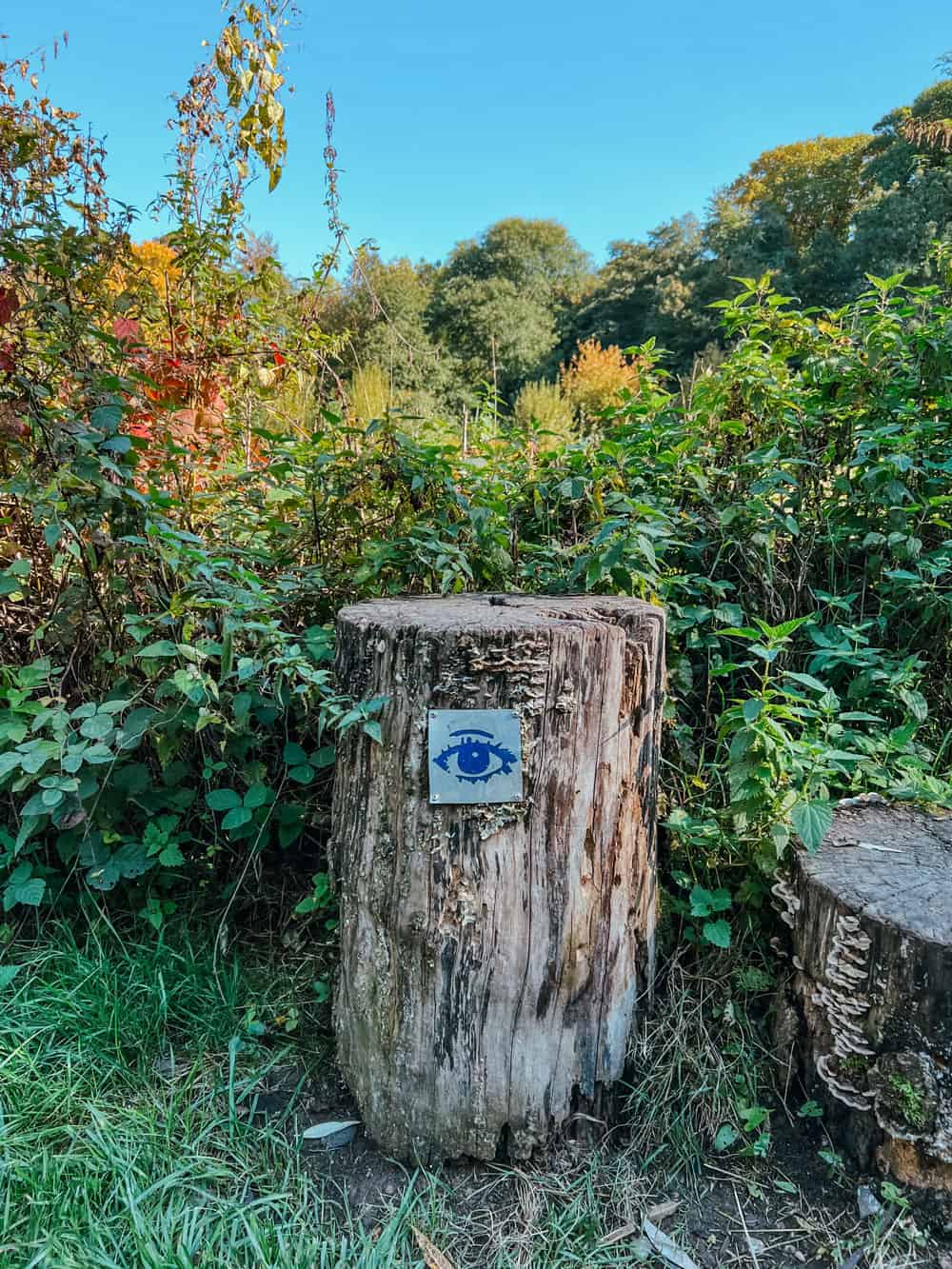 Teiche Naturgut Ophoven in Leverkusen - Wandertipp Walk & Wonder