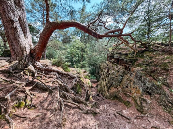 Katzensteine Mechernich Eifel - Lohnt sich das - Wanderblog Walk & Wonder