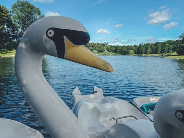 Wanderung in Köln - Kalscheurer Weiher