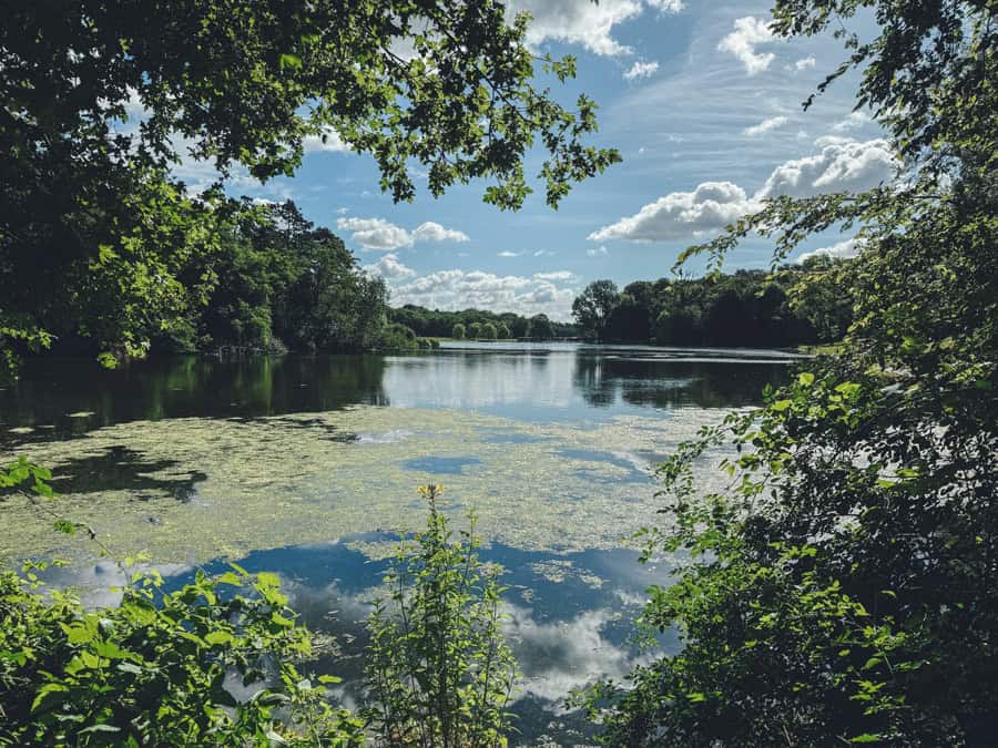 Kalscheurer Weiher Spaziergang Köln