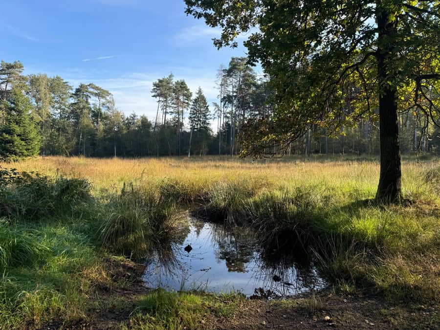 Ohligser Heide in Solingen - Rundwanderweg