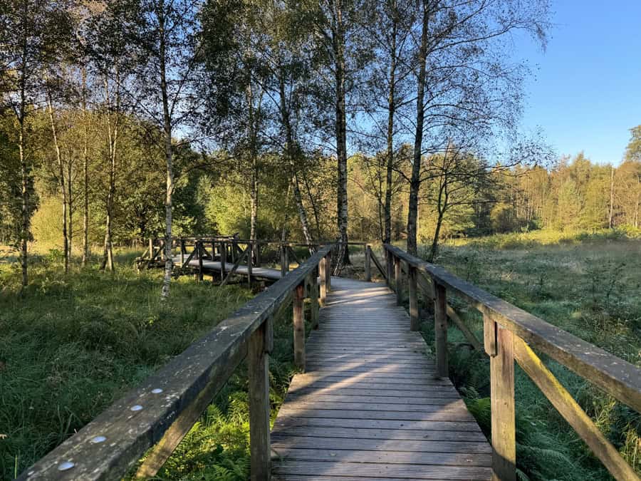 Ohligser Heide in Solingen - Rundwanderweg