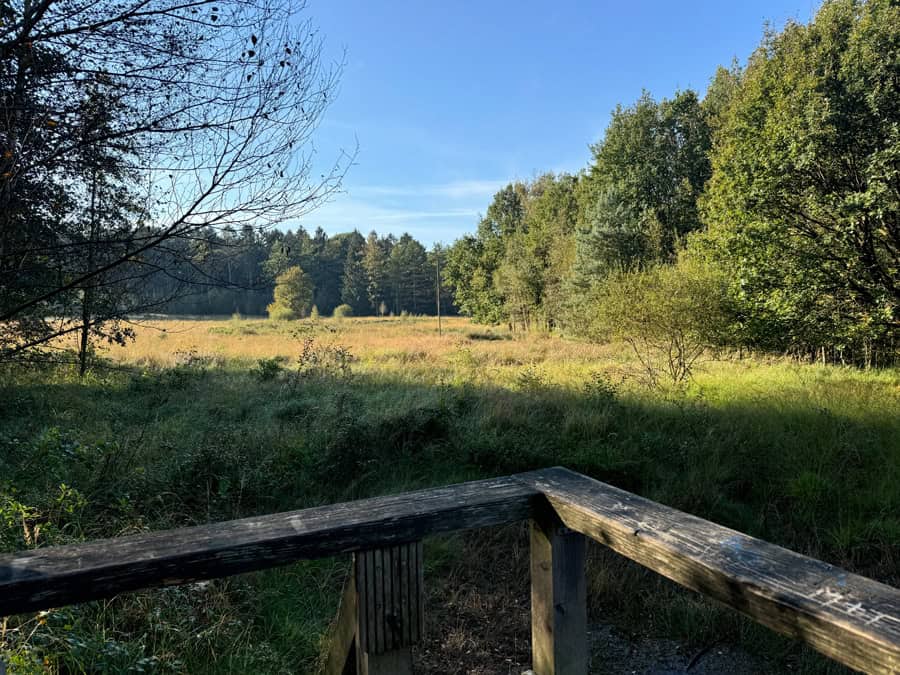 Ohligser Heide in Solingen - Rundwanderweg