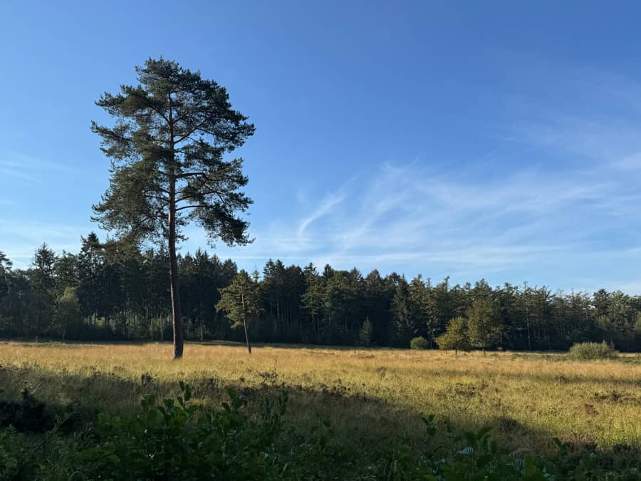Ohligser Heide in Solingen - Rundwanderweg