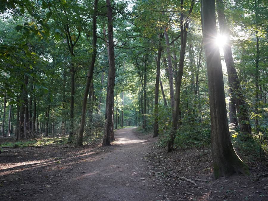 Ohligser Heide in Solingen - Rundwanderweg