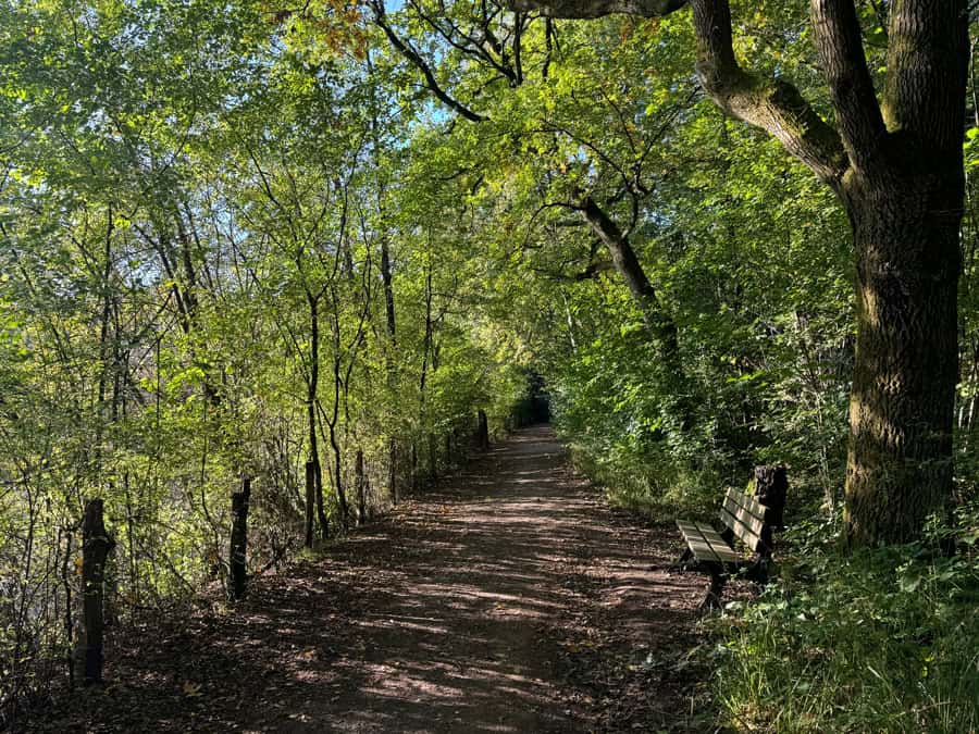 Ohligser Heide in Solingen - Rundwanderweg