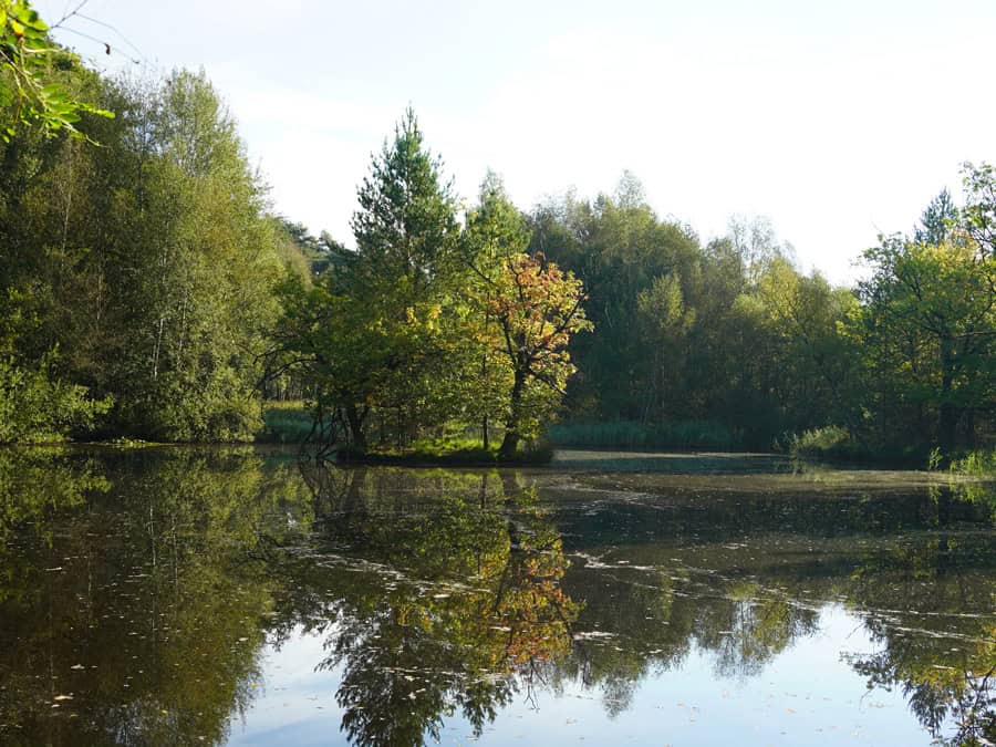 Ohligser Heide in Solingen - Rundwanderweg am See