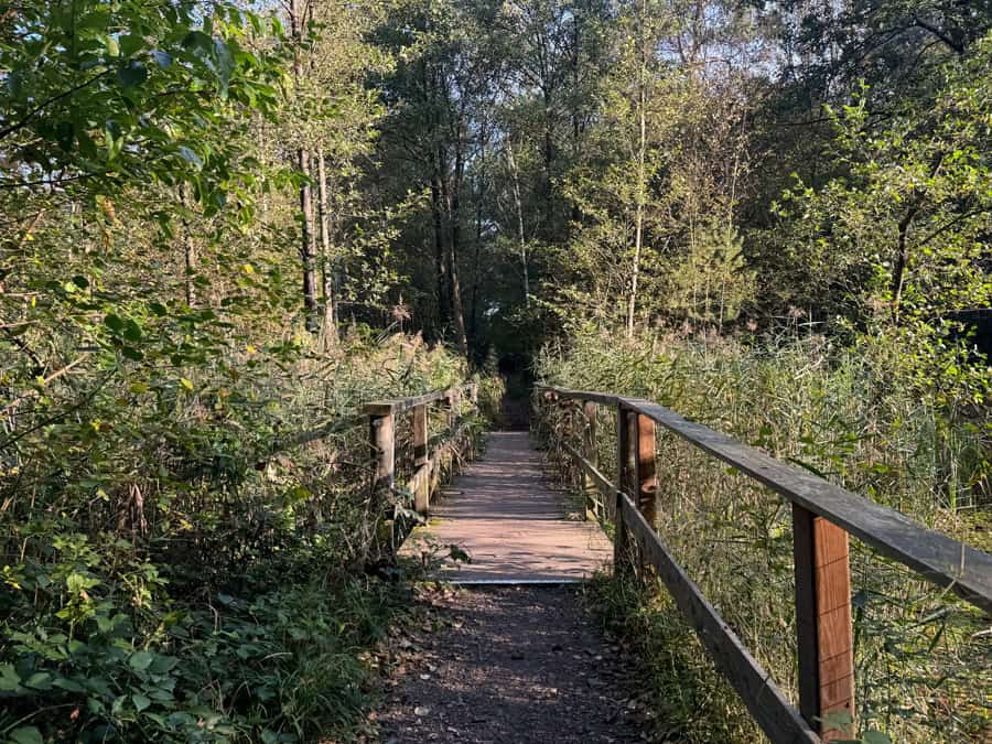 Ohligser Heide in Solingen - Rundwanderweg