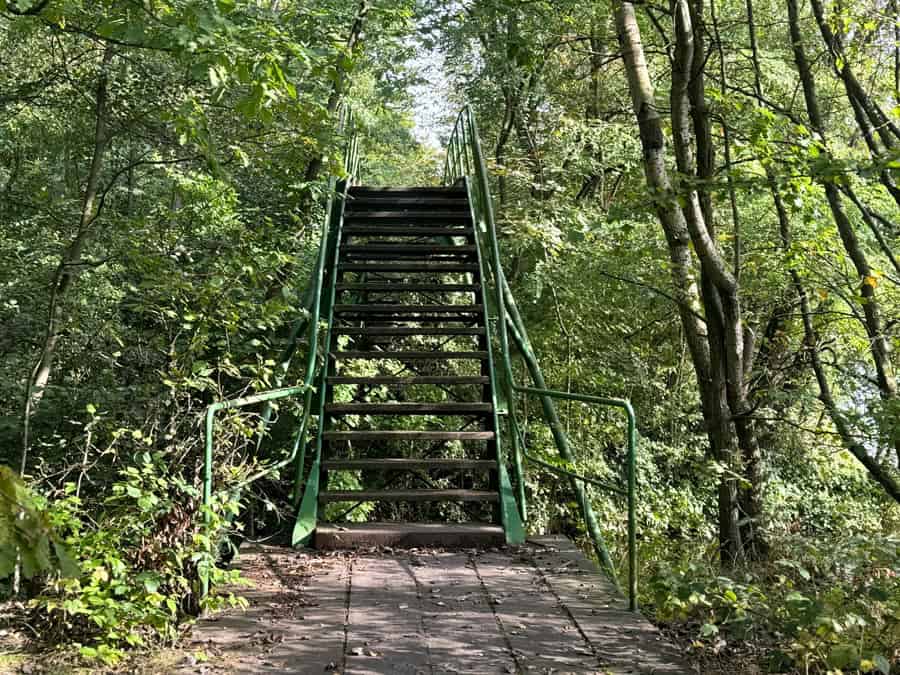 Brücke am Köttinger See in Erftstadt - Walk and Wonder