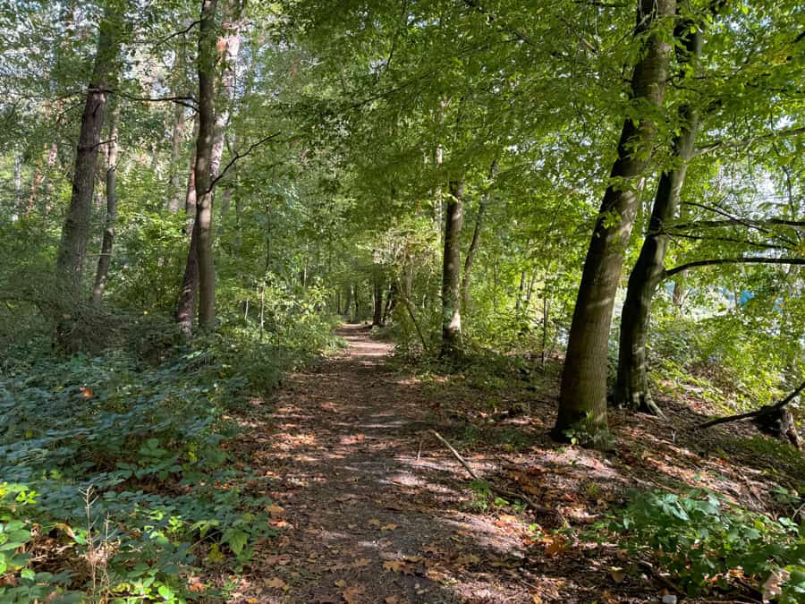 Wald Köttinger Seenplatte Wanderung - Walk and Wonder