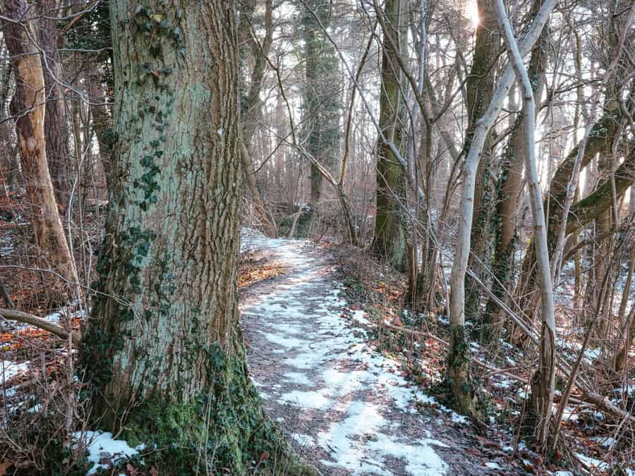 Winter-Wanderung Kakushöhle Tipp