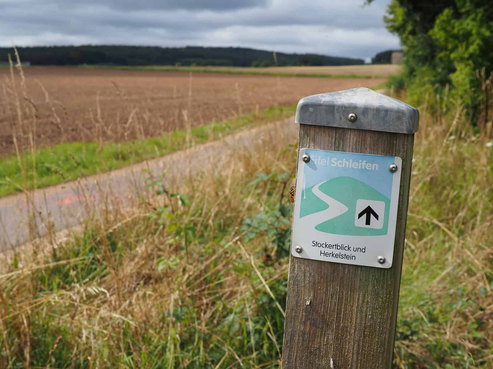 Bruder Klaus Feldkapelle Wandertipp