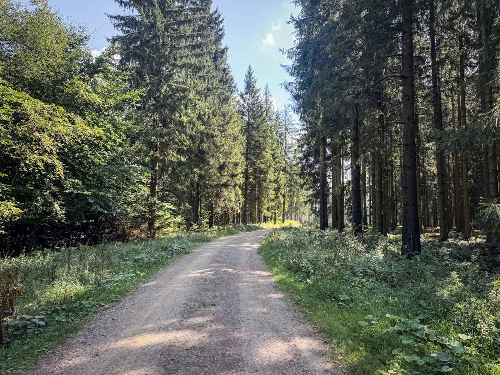 Waldweg zum Wasserbunker Jägerhaus in Simmerath Eifel
